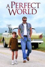 Watch A Perfect World Streaming