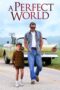 Watch A Perfect World Movie Online