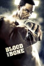 Watch Blood and Bone Streaming