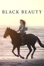 Watch Black Beauty Movie Online