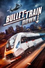 Watch Bullet Train Down Movie Online