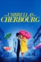 Watch The Umbrellas of Cherbourg Movie Online