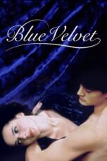 Watch Blue Velvet Streaming