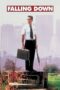 Watch Falling Down Movie Online