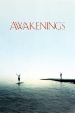 Watch Awakenings Movie Online