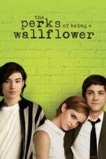 Watch The Perks of Being a Wallflower Streaming