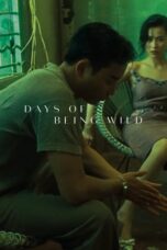 Watch Days of Being Wild Streaming