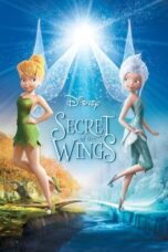 Watch Secret of the Wings Streaming