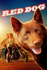 Watch Red Dog (2011) Movie Online