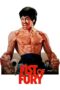 Watch Fist of Fury Movie Online