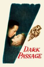 Watch Dark Passage Streaming