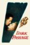 Watch Dark Passage Movie Online