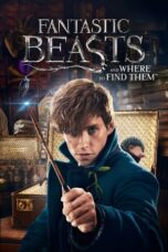 Watch Fantastic Beasts and Where to Find Them Movie Online