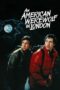 Watch An American Werewolf in London Movie Online