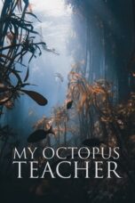 Watch My Octopus Teacher Movie Online