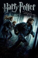 Watch Harry Potter and the Deathly Hallows: Part 1 Movie Online