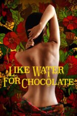 Watch Like Water for Chocolate Movie Online