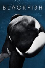 Watch Blackfish Movie Online