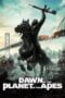 Watch Dawn of the Planet of the Apes Movie Online