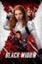 Watch Black Widow Movie Online