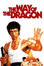 Watch The Way of the Dragon Movie Online