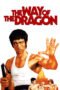 Watch The Way of the Dragon Movie Online