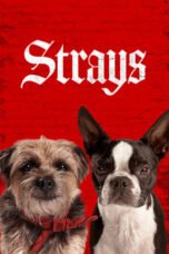 Watch Strays (2023) Streaming