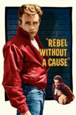 Watch Rebel Without a Cause Streaming