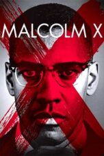 Watch Malcolm X Streaming