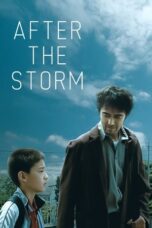 Watch After the Storm Streaming