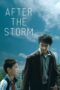 Watch After the Storm Movie Online