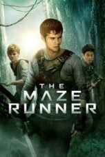 Watch The Maze Runner (2014) Streaming