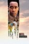 Watch Hotel Rwanda Movie Online