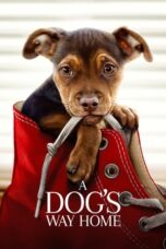 Watch A Dog’s Way Home Streaming