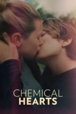 Watch Chemical Hearts Streaming