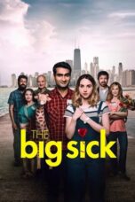 Watch The Big Sick Movie Online