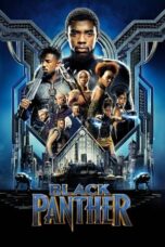 Watch Black Panther Movie Online