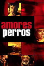 Watch Amores Perros Movie Online