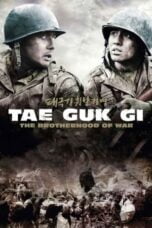 Watch Tae Guk Gi: The Brotherhood of War Movie Online