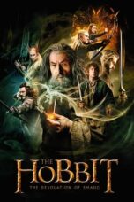 Watch The Hobbit: The Desolation of Smaug Streaming