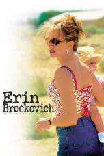 Watch Erin Brockovich Streaming