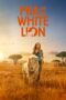 Watch Mia and the White Lion Movie Online