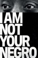 Watch I Am Not Your Negro Movie Online