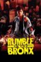 Watch Rumble in the Bronx Movie Online