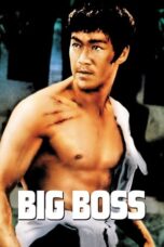 Watch The Big Boss Movie Online