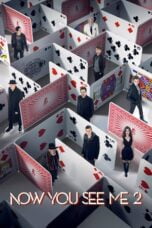 Watch Now You See Me 2 Streaming