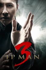 Watch Ip Man 3 Streaming