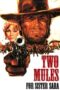 Watch Two Mules for Sister Sara Movie Online