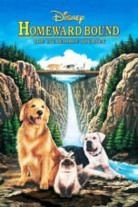 Watch Homeward Bound: The Incredible Journey Movie Online