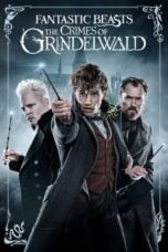 Watch Fantastic Beasts: The Crimes of Grindelwald Streaming